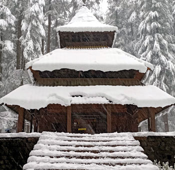 tempo traveller in manali, tempo traveller for shimla manali