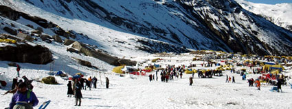 shimla tempo traveller, tempo traveller for shimla manali