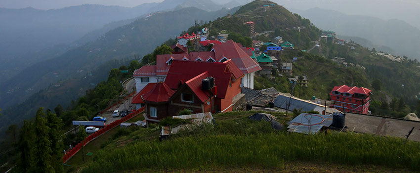 shimla tempo traveller