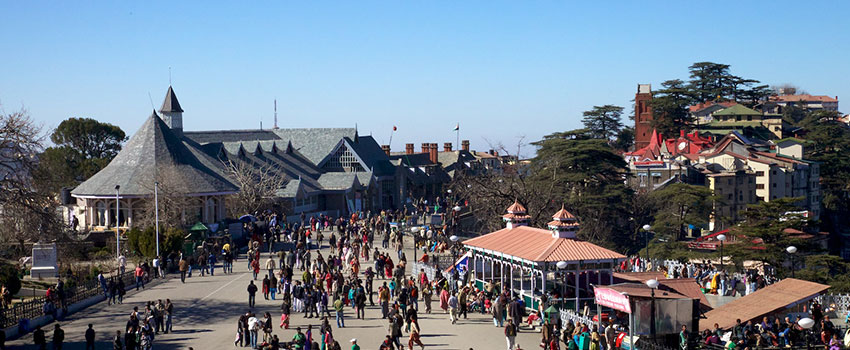 shimla tempo traveller